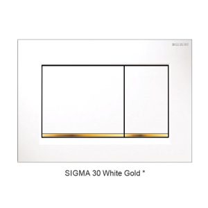 Sigma30-white-gold-1 TT513 — Square Dual Flush Button in White Gold
