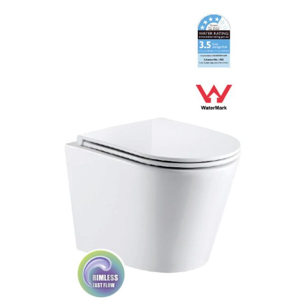 PARMA R&T Wall Hung Rimless Toilet Package