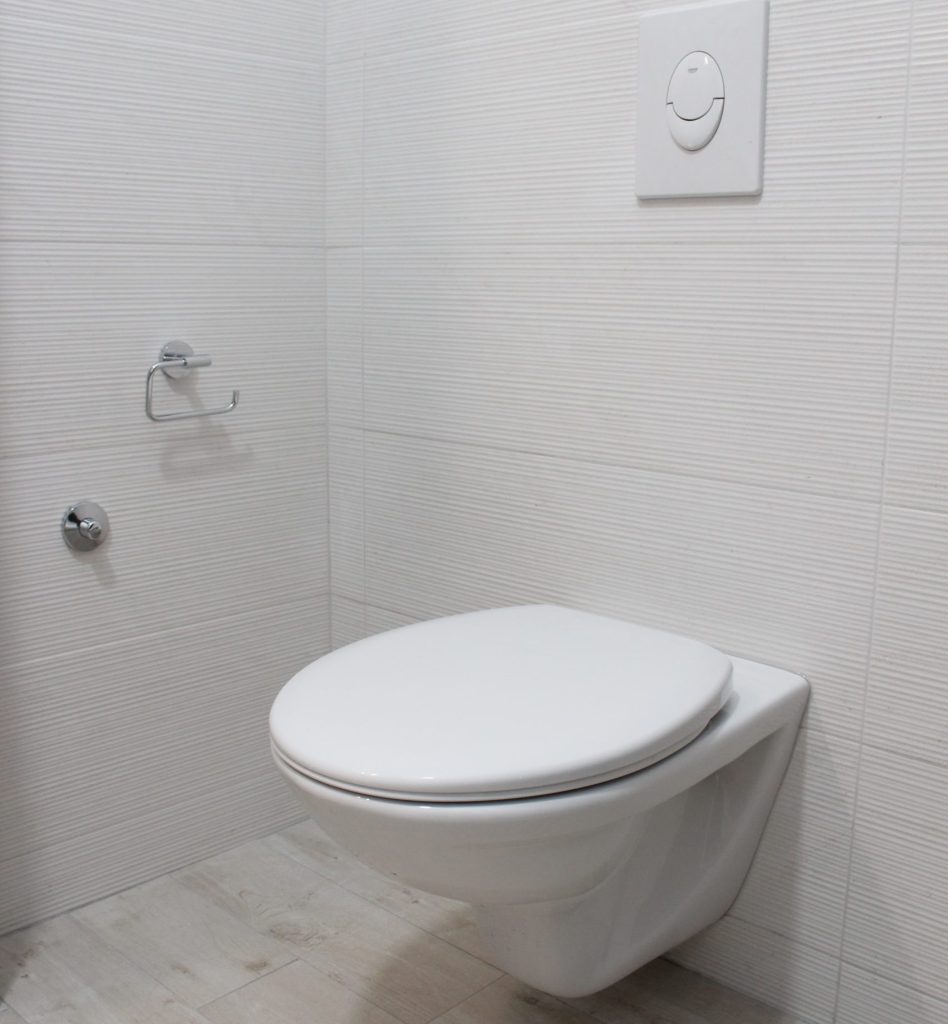 Wall mounted toilet - a space saver