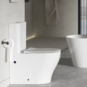 toilet-rimless-topware (1)